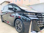 ドレスアップの基本です