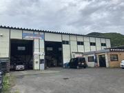 カーサイト・フロスト