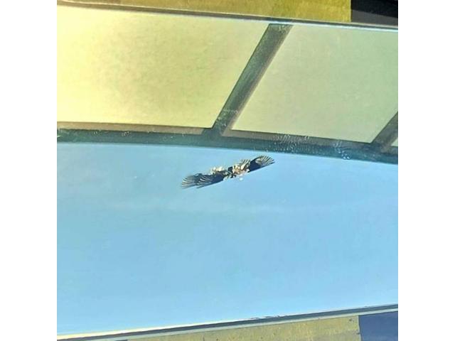 大阪府豊中市　メルセデス・ベンツ　Ｇクラス（ゲレンデヴァーゲン）　フロントガラスリペア　GLASSIC（グラシック）