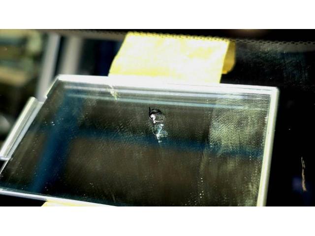 兵庫県川西市　ホンダ　RP8　ステップワゴン　飛び石修理　フロントガラスリペア　GLASSIC（グラシック）