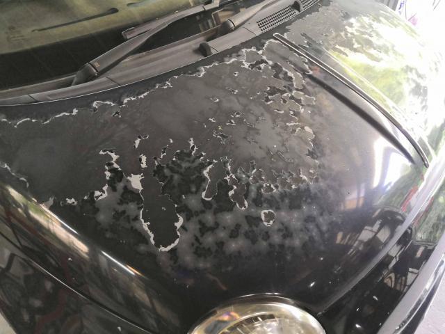 フィアット　５００　色褪せ塗装 東区　博多区　中央区　南区　城南区　早良区　西区　中間マージンなし　