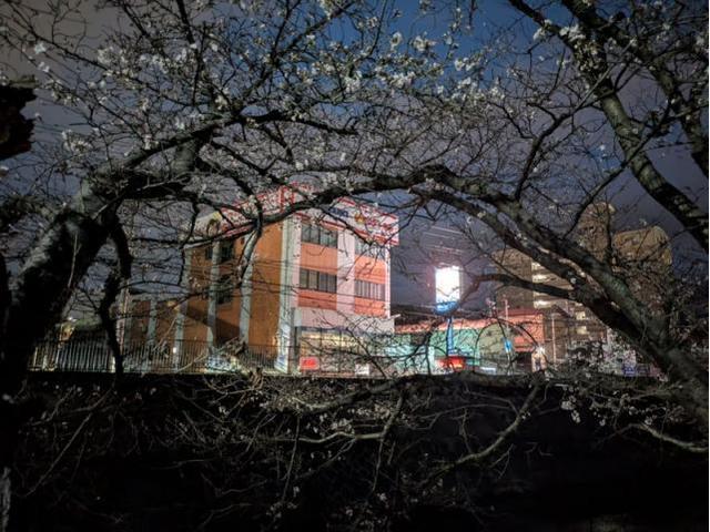 作業実績