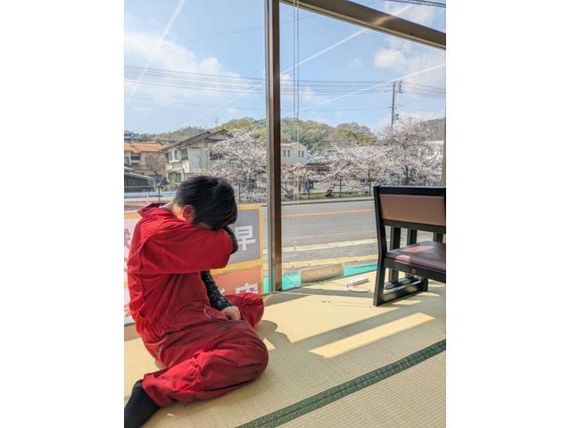作業実績