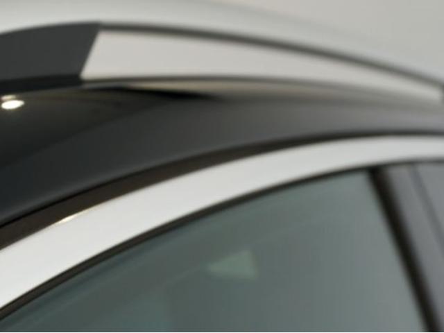 アルミモールコーティングもございます。