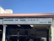 プロバイド１９９５で検索！