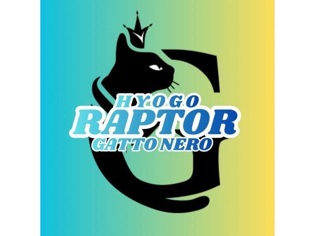 フォルクスワーゲン　ヴァナゴン　RAPTOR 塗装