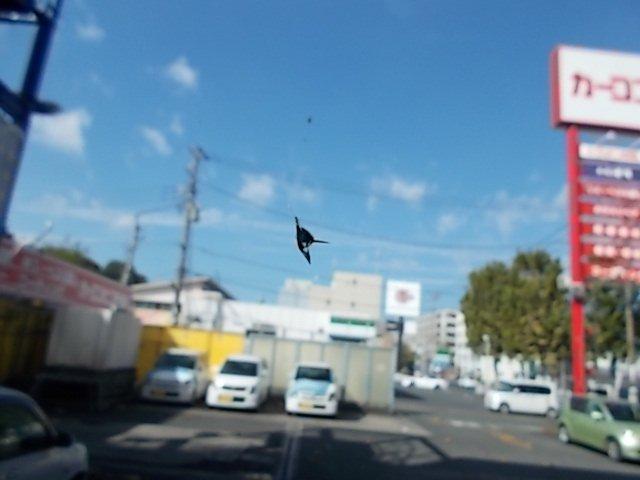 新着の作業実績