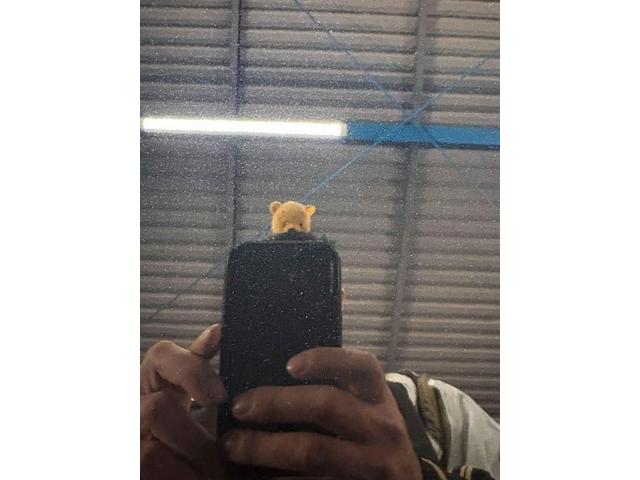 トヨタ　ノア　ボディコーティング　筑後市　久留米市　広川町　八女市　みやま市　大牟田市　柳川市　大川市　佐賀市　鳥栖市　荒尾市　他地域のお客様も大歓迎です！