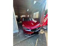 新着の作業実績