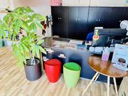 カーコンビニ倶楽部　ライズファクトリー3