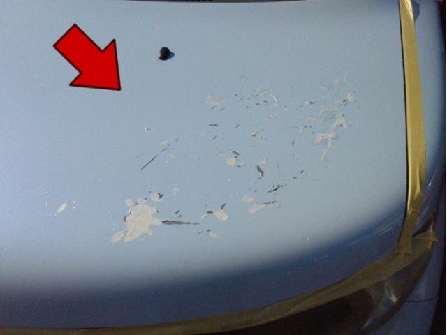 トヨタ bB ボンネット 塗装剥がれ キズ・へこみ直し 浜松市 板金塗装