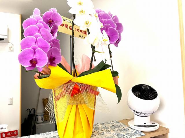 ２０２５年８月ＮＥＷ　ＯＰＥＮしました