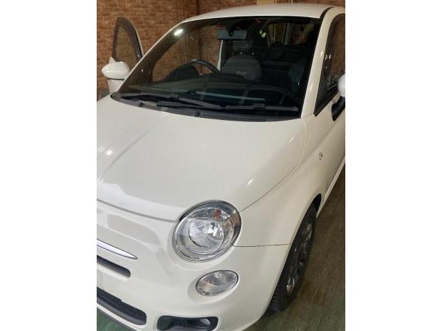 新着の作業実績