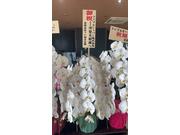 ファブルモータース茨城店7