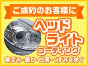 ヴァリアントリンク8