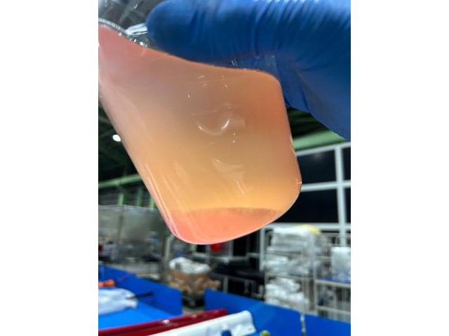 アルファロメオ　アルファスパイダー　939 アルファロメオスパイダー 93932S エンジン始動不良　エンジンかからない　点検　整備　修理　燃料タンクに水混入　燃料入れ替え　プラグ交換　