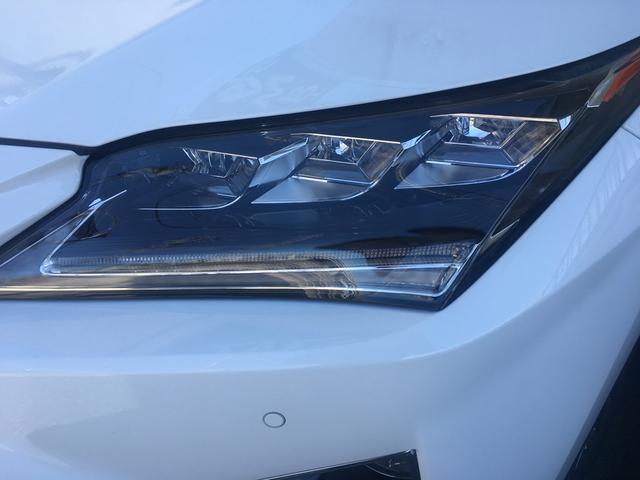 トップウェイ15