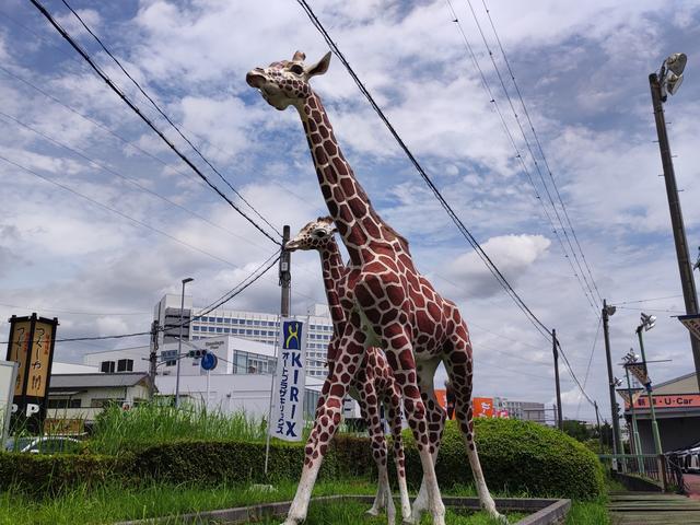 オートプラザキリックス刈谷店(1枚目)