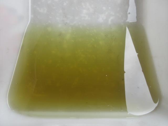 Ｆ様ＢＲＺ、スタビブーツ破れとカムセンサーからのオイル滲み修理にドアチェックの交換などなど。