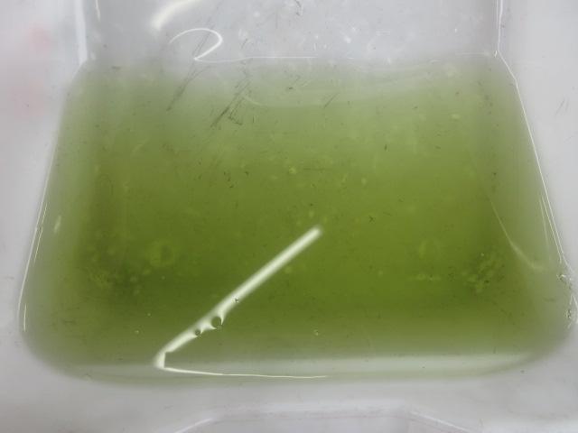 Ｙ様ＣＴ９Ａランエボ８、車検整備や各オイルにフルード類やクーラントの交換。