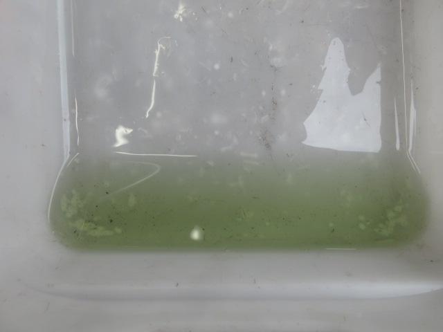 Ｙ様ＣＴ９Ａランエボ８、車検整備や各オイルにフルード類やクーラントの交換。