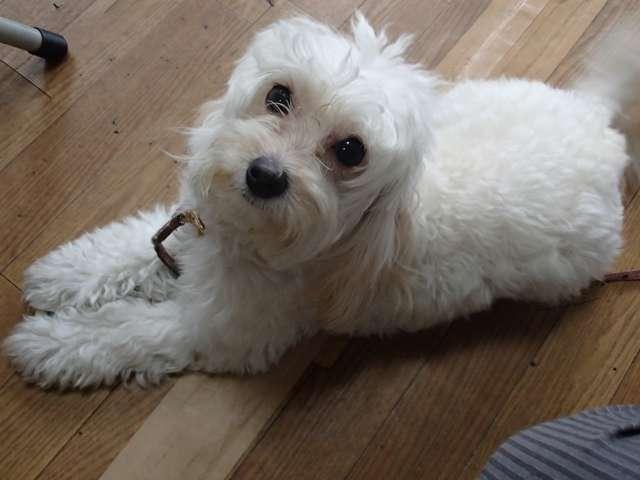 （株）松車 サービス紹介の3つ目