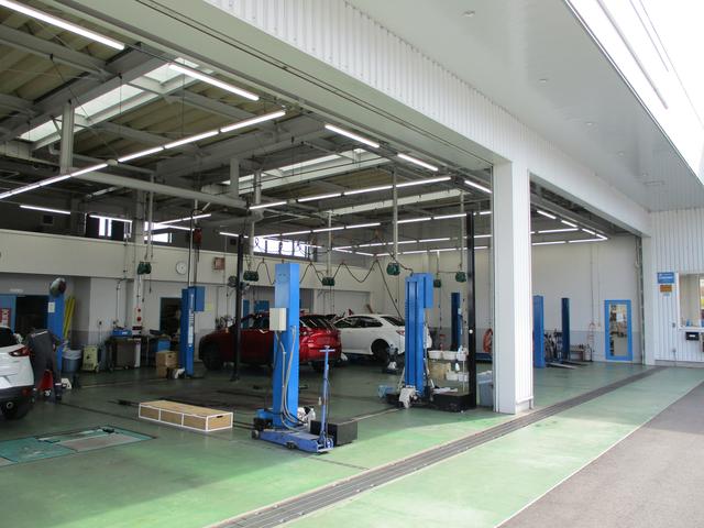 東海マツダ販売(株) 半田武豊ユーカーランド(3枚目)