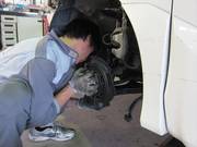 当店の整備スタッフが真心を持ってお客様のお車を整備致します！