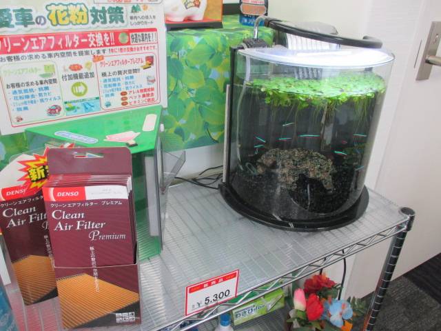 株 ホクシンオート 愛知県春日井市の自動車の整備 修理工場 グーネットピット