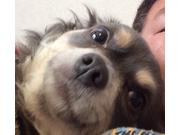 ギャング2段 レイ軍曹(15歳)