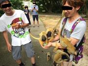 社員旅行 2014 石垣島