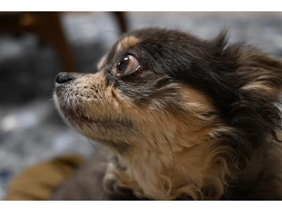 正社員募集中!!