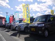 店舗後ろ側にも特選中古車が勢揃い♪