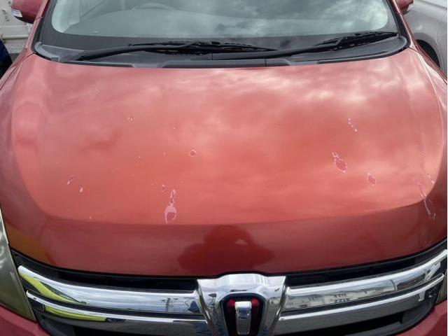 新着の作業実績