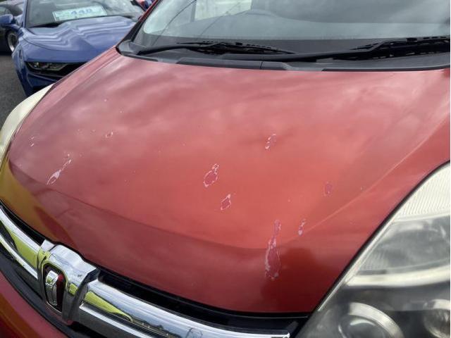 トヨタ　アイシス　板金・外装補修　塗装　ヘッドライト　くすみ除去　ベンツ　BMW　アウディ　マセラティ　ポルシェ　一宮市　稲沢市　北名古屋市　名古屋市　岩倉市　江南市　津島市　あま市　清須市