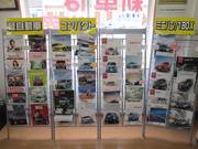 新車は、全メーカー・全車種がお買い求め頂けます。