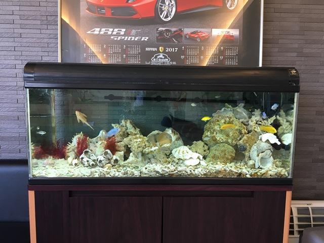 オートライフ Ｍ・Ｔ Ｇｒａｎｄ 株式会社 サービス紹介の5つ目