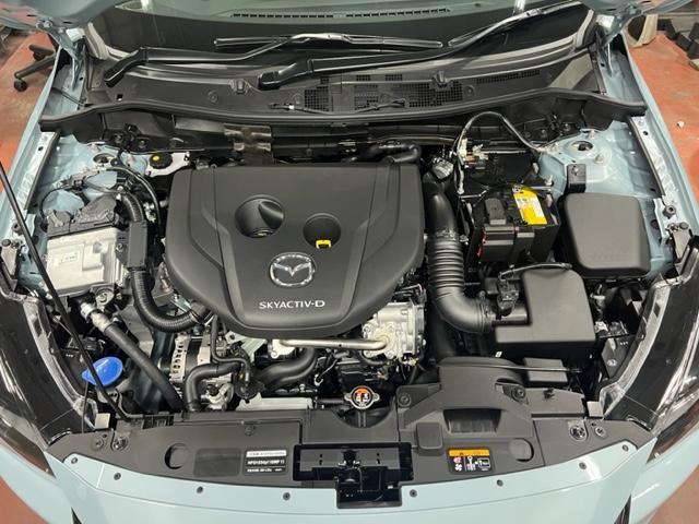 岡崎　MAZDA２　新車　代替え購入　なが～く保証　新車保証　損保ジャパン　オカザえもん