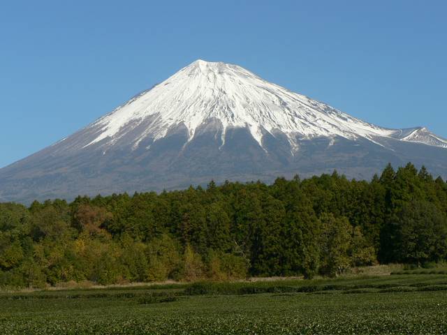 （株）ケー・へヴン