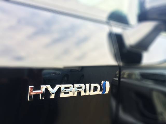 有限会社ＲＥＶ4