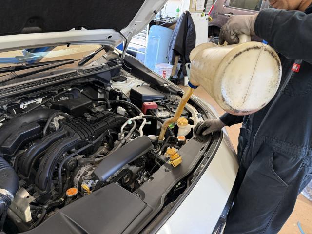 新着の作業実績