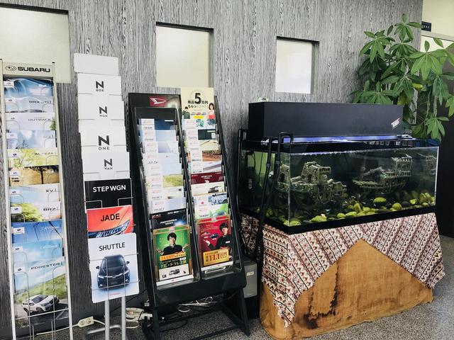 トータルモータース　ＴＯＭＯ13