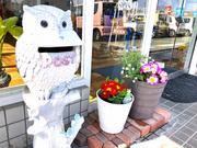 店舗入口は季節毎の「お花」がお出迎えします♪