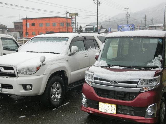 雪が降ってきました☆