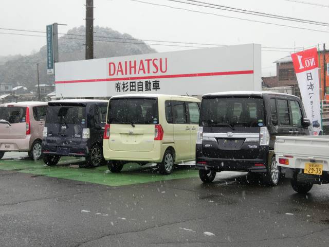 雪が降ってきました☆