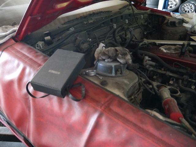 「安心と信頼の自動車販売店」です。