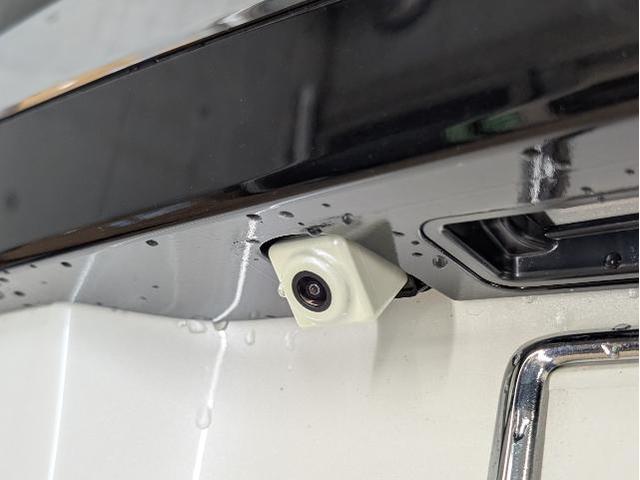 トヨタ　80VOXY　アルパインBIGXのカメラ交換とルームランプLED化