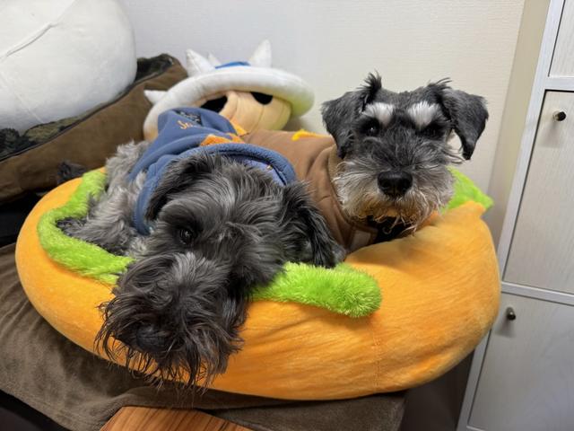 Ｄｏｕｂｌｅ サービス紹介の4つ目