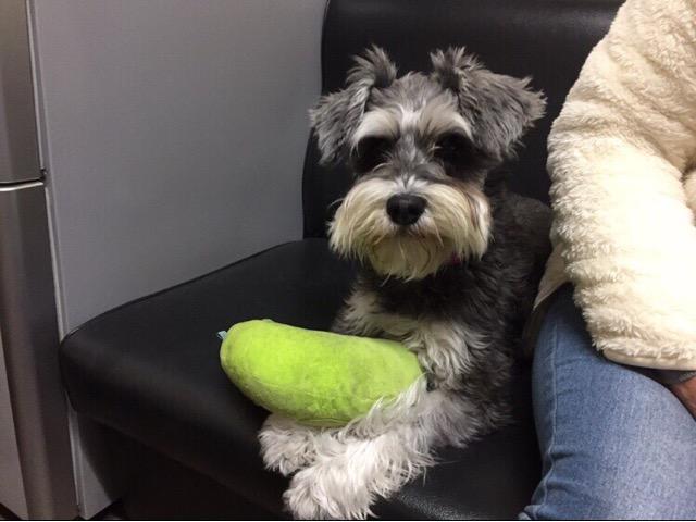 Ｄｏｕｂｌｅ サービス紹介の5つ目