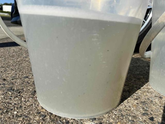 ＭＩＮＩ　ＭＩＮＩ　クーパーS　6MT　NA3セラミックコーティング　ガラスコーティング　ポリッシュ　研磨　ナノセラミックコート　エアコン洗浄　エバポレーター洗浄　エアコン臭　愛知　一宮　岐阜　稲沢　江南　名古屋